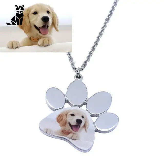 Collier Personnalisable Pour Chien / Chat En Argent