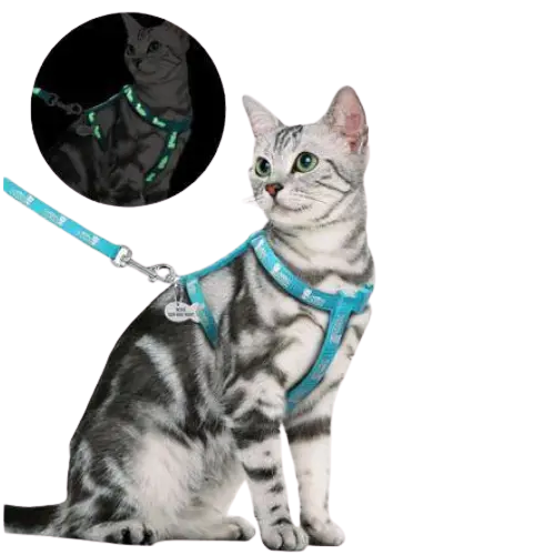 Harnais Pour Chat Personnalisable Avec Laisse Transparent Background