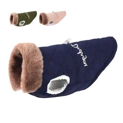 Manteau d’hiver pour chien : Manteau de chien élégant avec col en fourrure et chaussures assorties pour les animaux à la mode Transparent Background