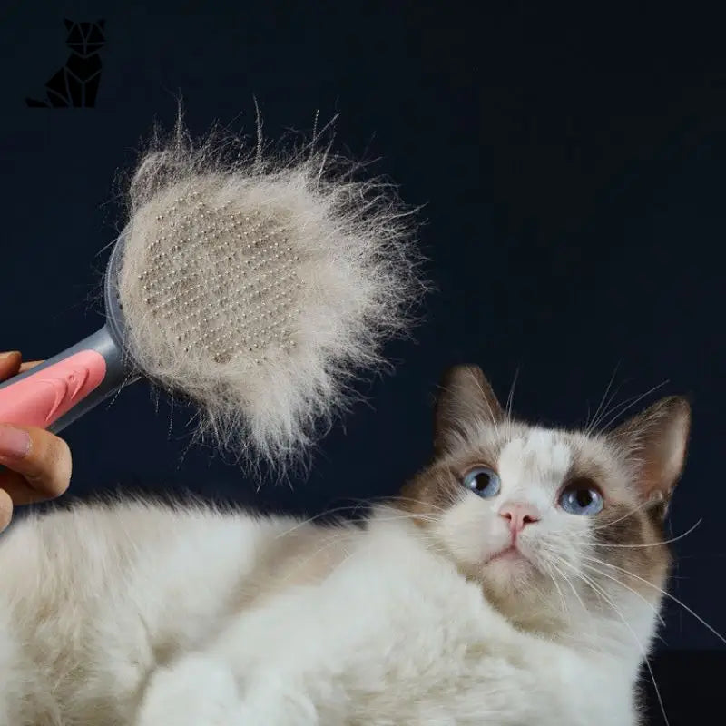 Brosse pour chat | CatBrush™