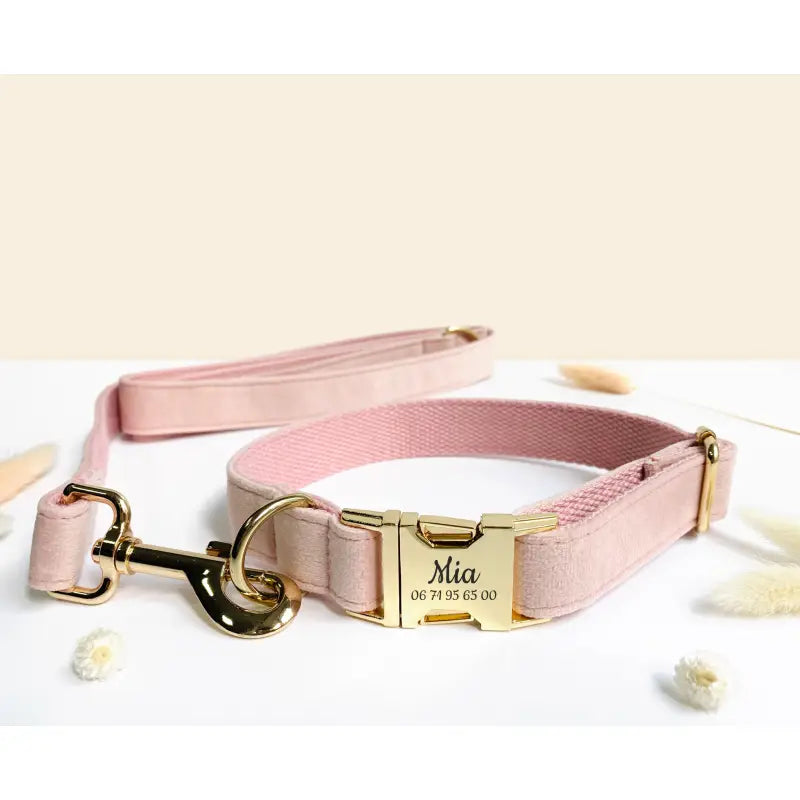 Kit Complet Chien Personnalisé Velours Rose