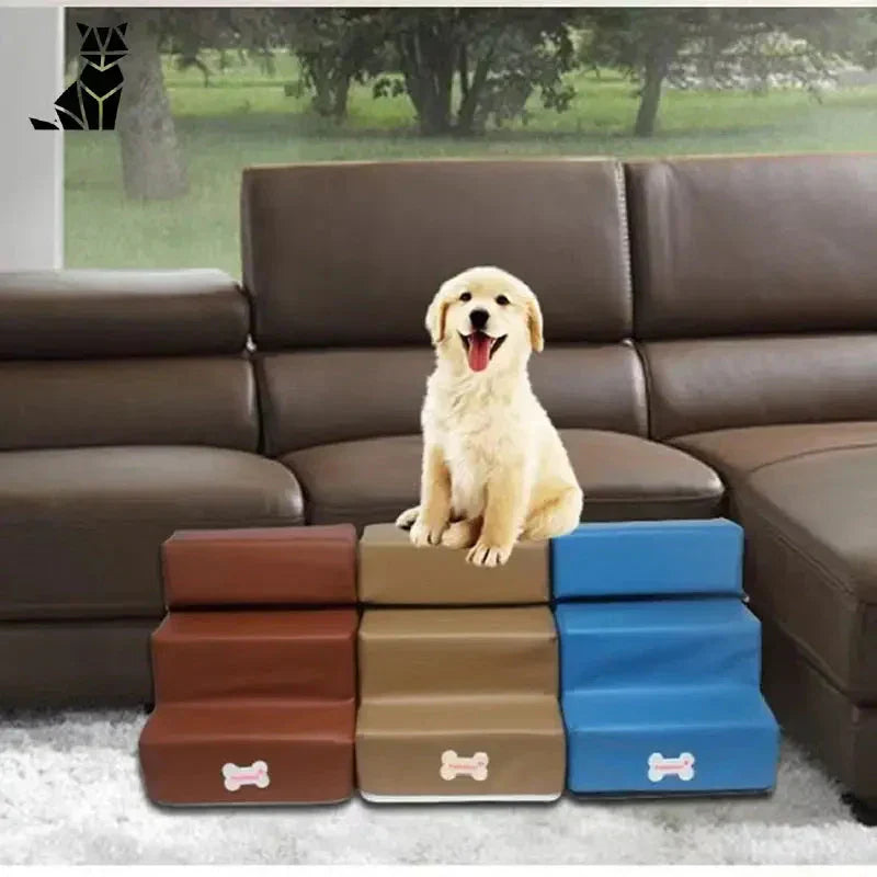 Trois marches pour petits chiens : chien assis sur des bagages avec escaliers à trois étapes