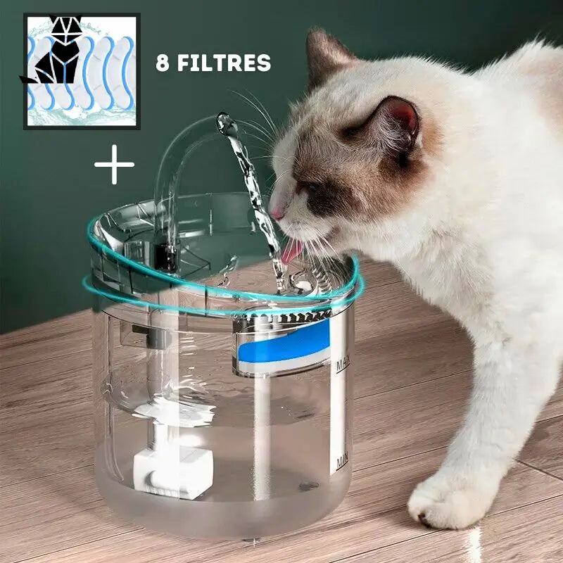 Fontaine à eau pour chat | AquaMiaou™