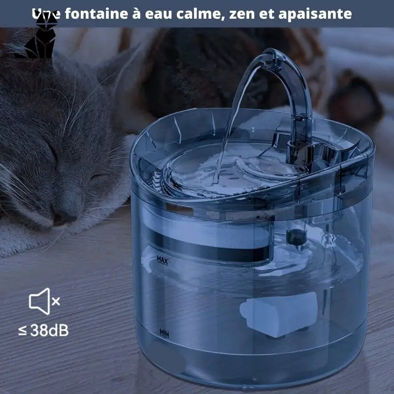 Fontaine à eau pour chat | AquaMiaou™