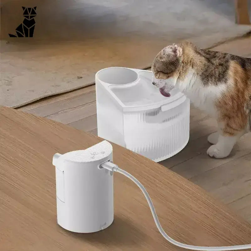 Chat buvant de l’eau fraîche d’une fontaine, produit ’Fresh Water Fountain for Animals’