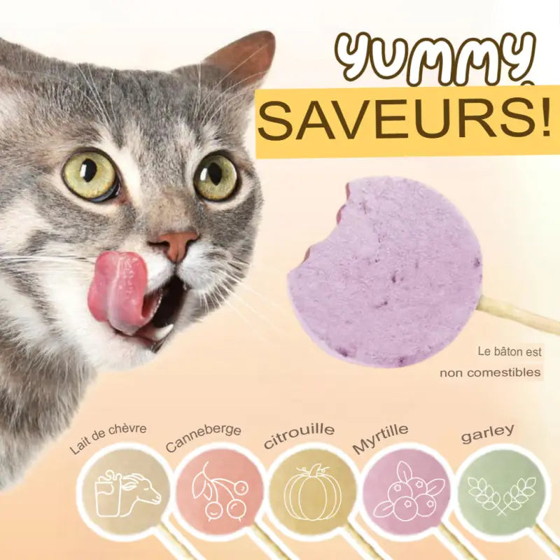 Katt Lollipop Godteri med Naturlig Smak av Kylling 25 Stk