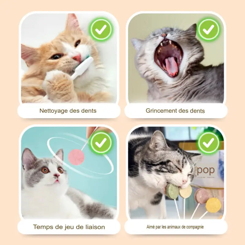 Katt Lollipop Godteri med Naturlig Smak av Kylling 25 Stk