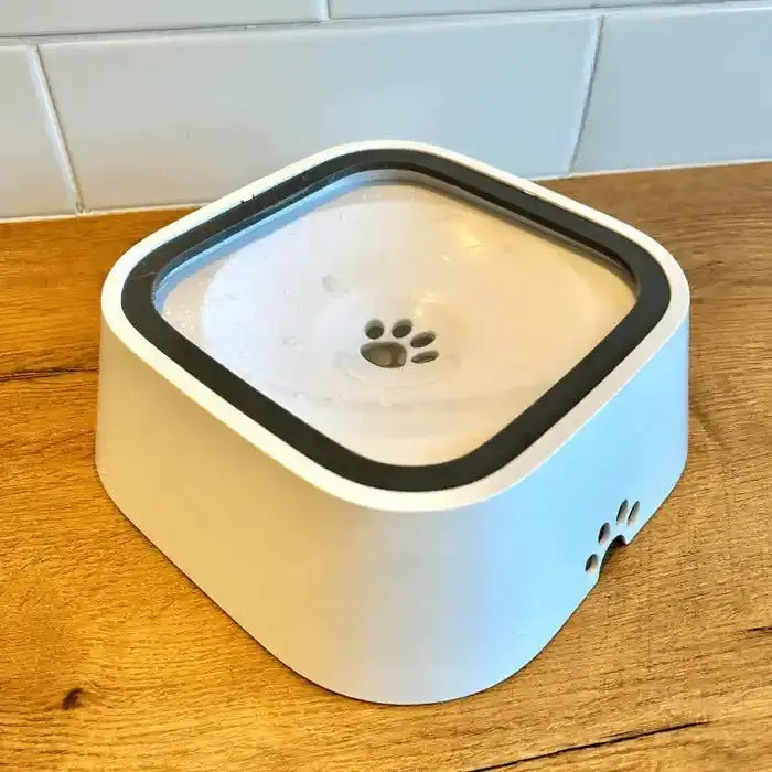 Gamelle blanche pour chien avec couvercle noir - OG Water Basin