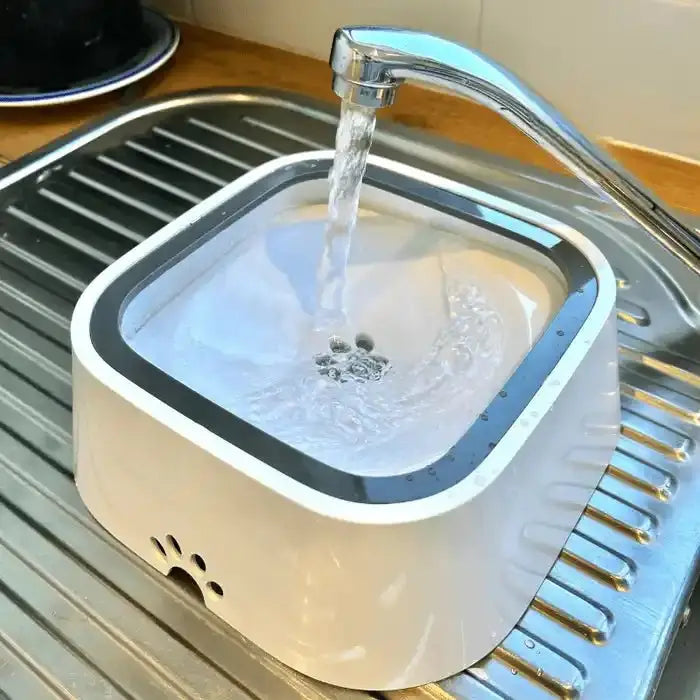 Evier OG Water Basin avec eau courante