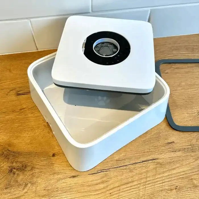 Caméra à boîte blanche à l’intérieur du bassin d’eau d’OG