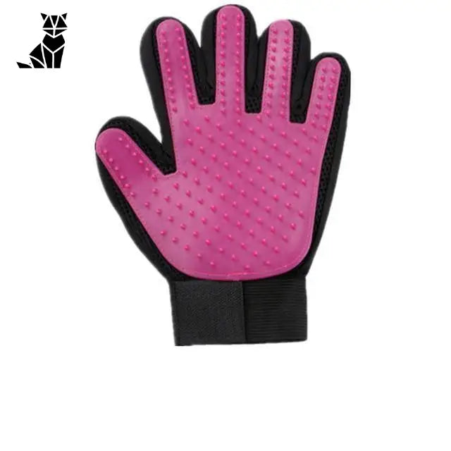 Gant De Toilettage Pour Animaux