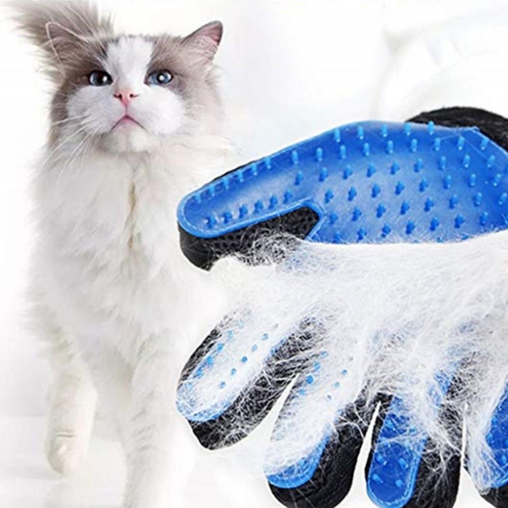 Gant de toilettage pour chien et chat