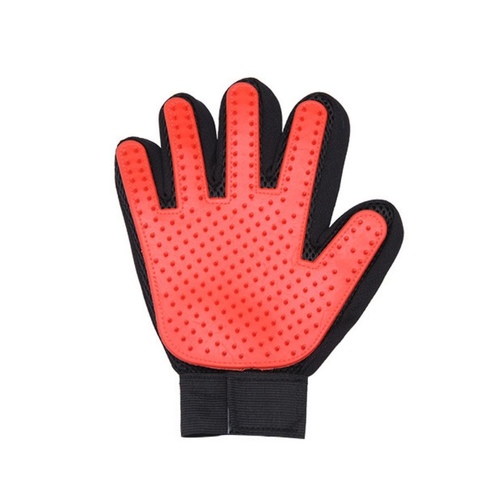 Gant de toilettage pour chien et chat