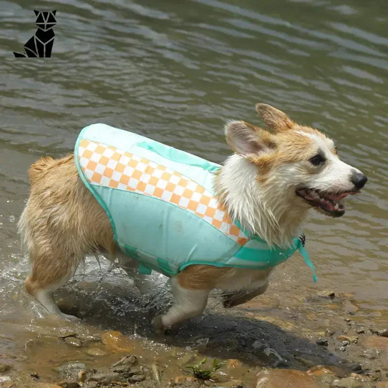 Chien profitant de l’eau dans l’amusant gilet de sauvetage Shark pour chiens, conception de flottabilité améliorée