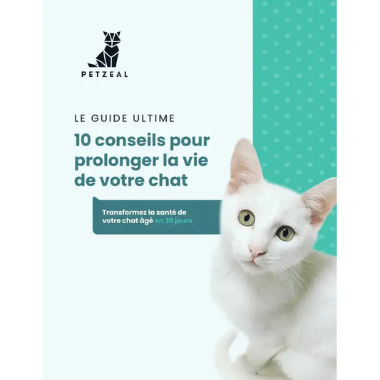 Guide Ultime: 10 Conseils pour Prolonger la Vie de Votre