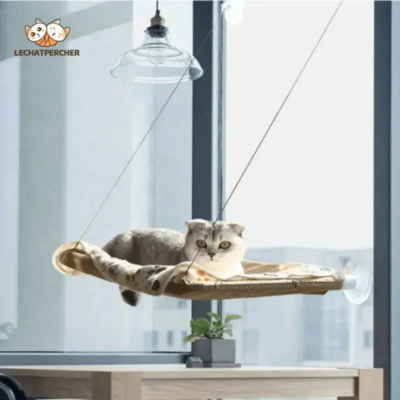 Chat se prélassant sur un lit Hamacat : le coin douillet par excellence pour votre ami à quatre pattes