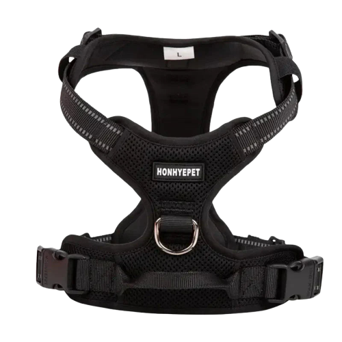 Harnais en Y Truelove Transparent Background