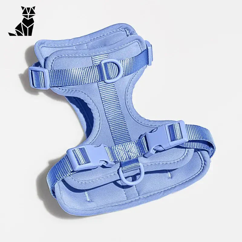 Harnais pour Bouvier Bernois