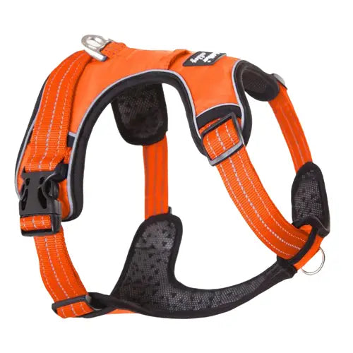 Harnais pour Galgo