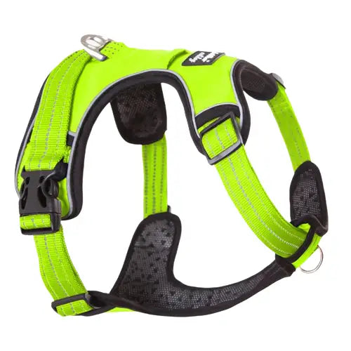 Harnais pour Galgo