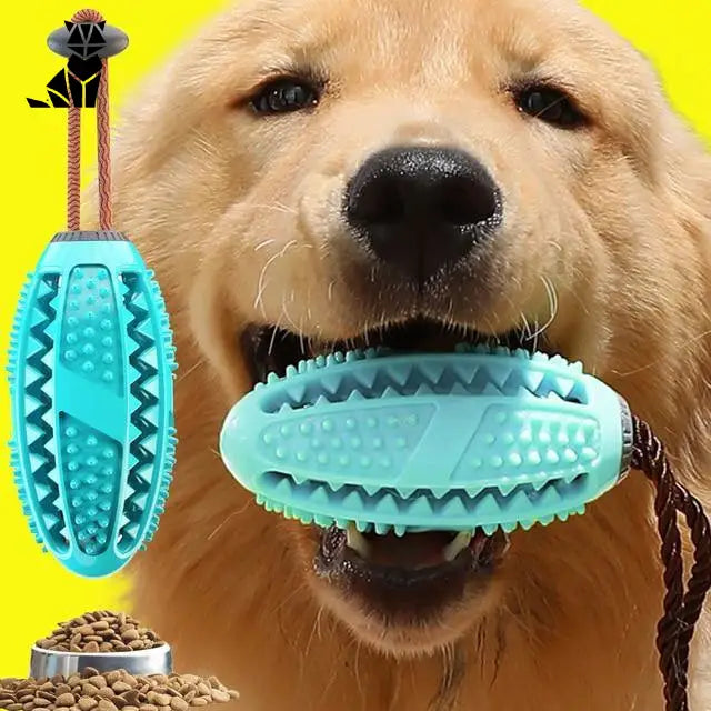 Jouet Brosse à Dents Pour Chien