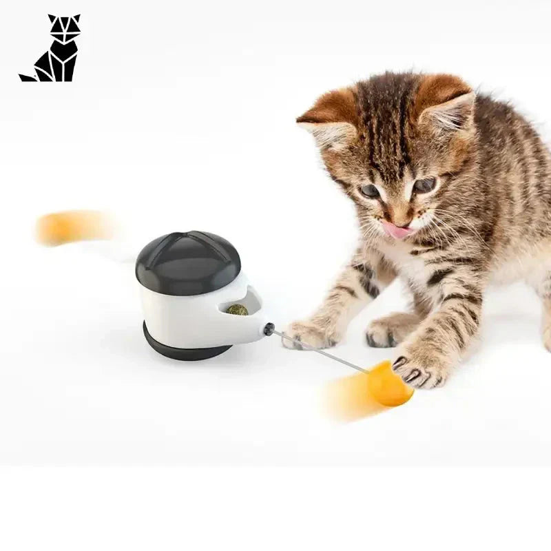 Chaton jouant avec un excellent jouet interactif pour chat sur fond blanc