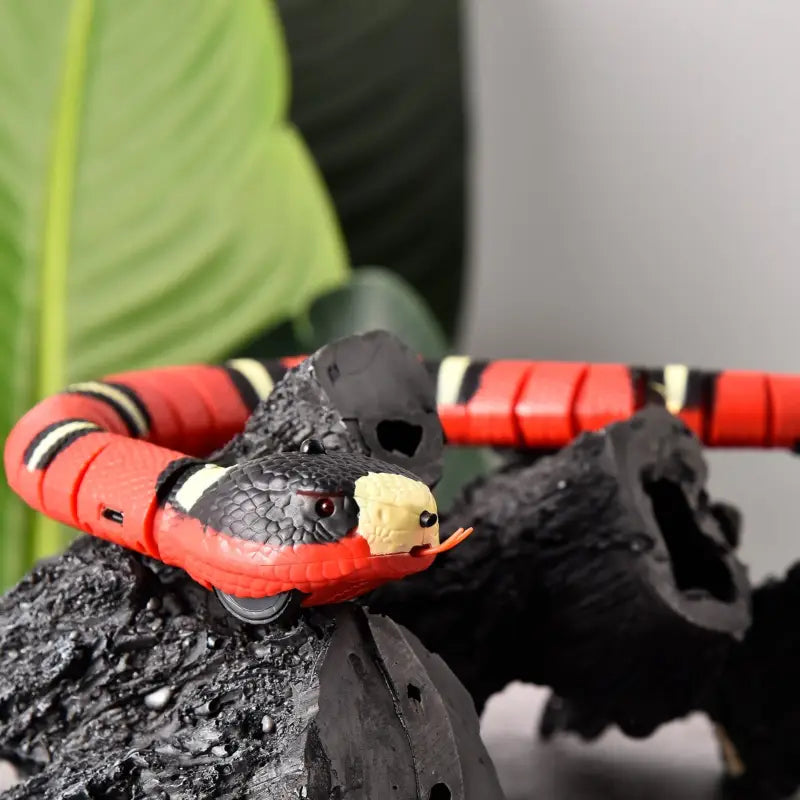 Jouet interactif pour chat : Serpent noir et rouge avec queue jaune - Jouet serpent câble