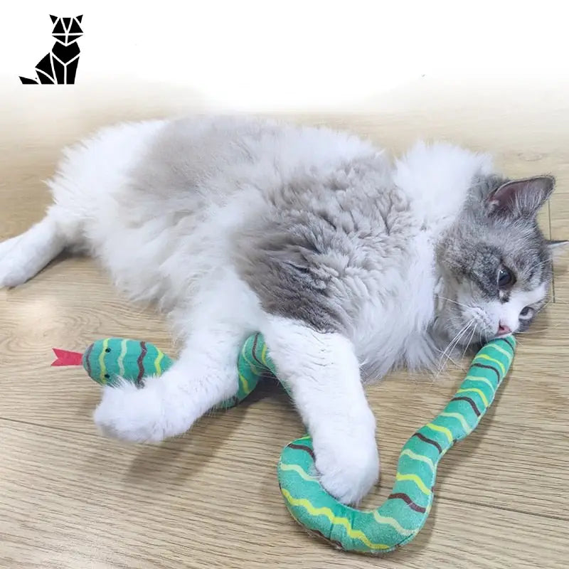 Chat jouant avec un serpent sur le sol : cadeau idéal pour l’activité physique de votre animal