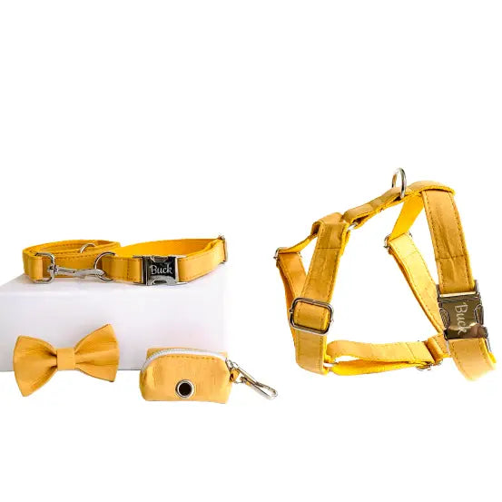 Kit Complet Chien Personnalisé Coton Jaune Transparent Background
