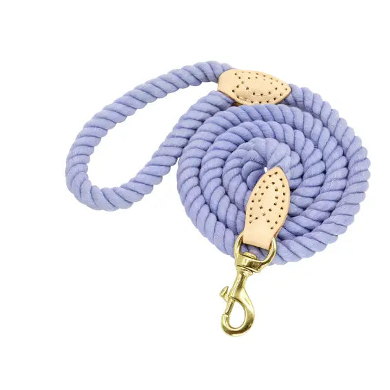 Laisse pour chien solide
