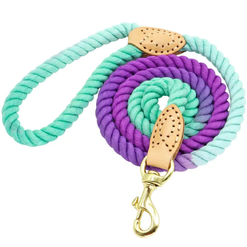 Laisse pour chien solide