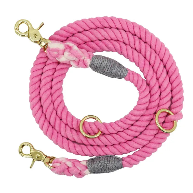 Laisse pour chien solide