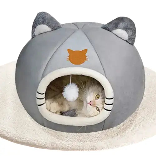 Chat profitant d’une sieste reposante dans la Cozy House for Cats : Espace confortable, douillet et paisible Transparent Background