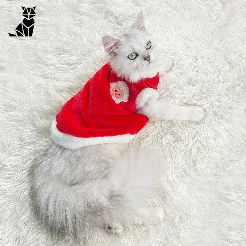 Un adorable chat coiffé d’un bonnet de Père Noël sur un tapis blanc, mettant en valeur notre vêtement fausse fourrure pour chatons