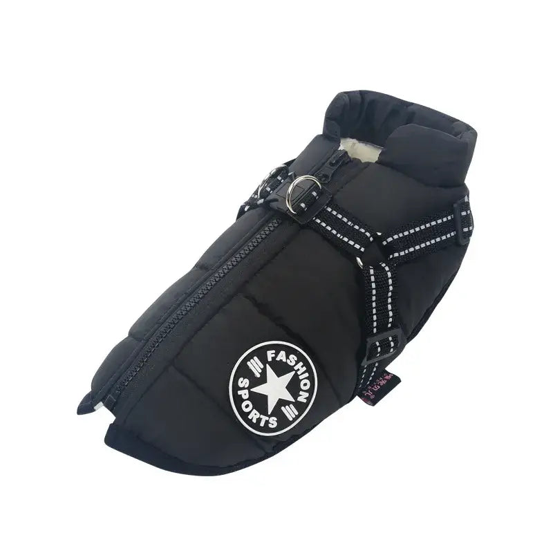 Gros plan sur le manteau Comfort pour chiens avec harnais intégré et logo Converse, idéal pour les promenades