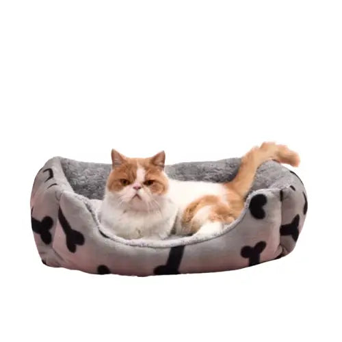 Petit panier en velour pour chat et chien Transparent Background