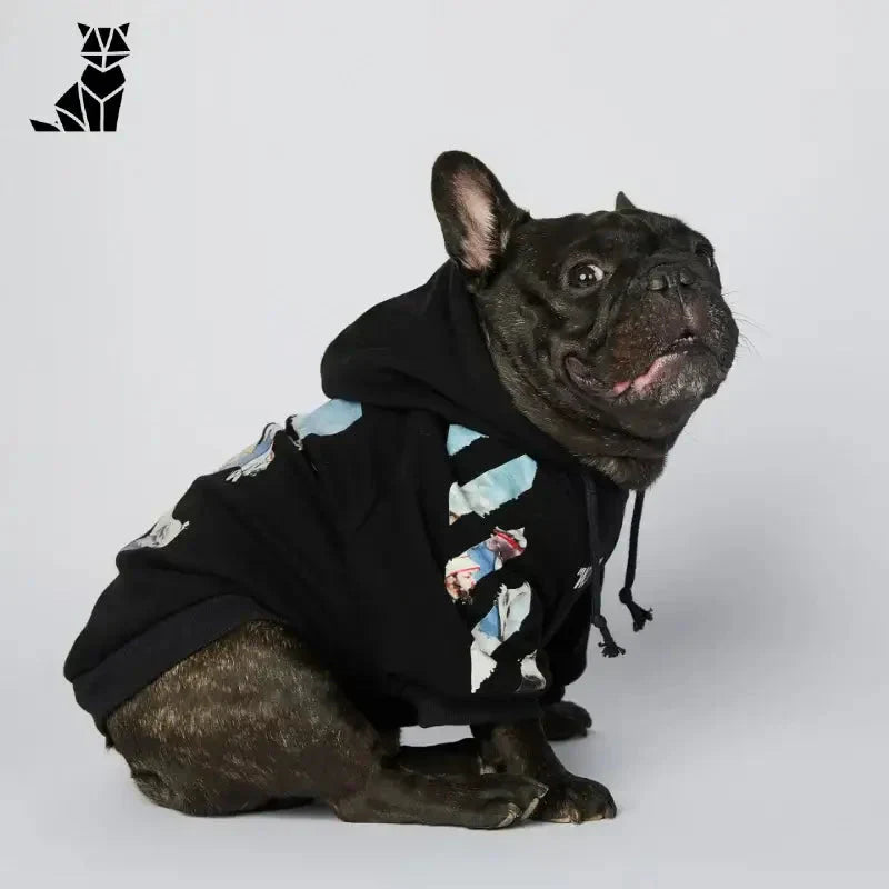 Mignon chien dans une veste noire et un nœud papillon de Dog Sweater : Chaud et élégant, parfait pour les animaux de compagnie