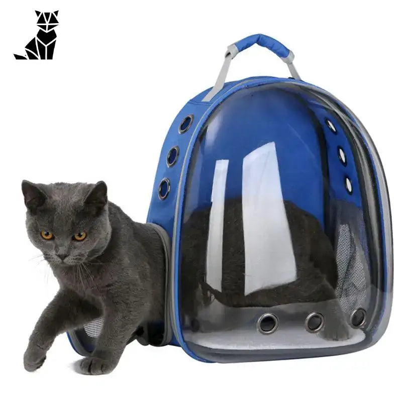 Sac à Dos De Transport Pour Chat Avec Vision Panoramique