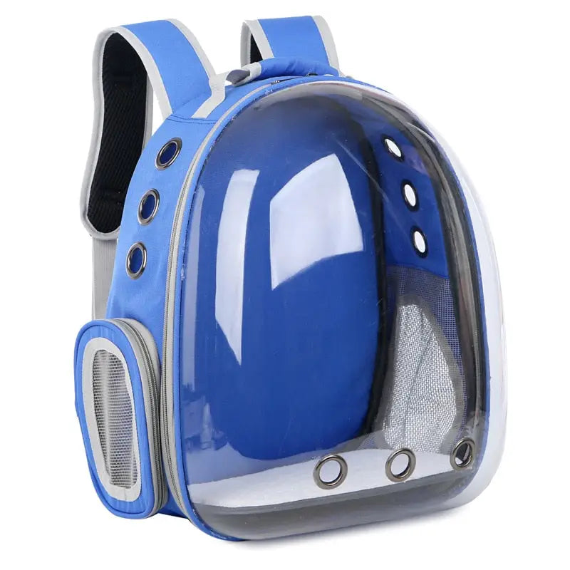 Sac à dos chat bleu avec design transparent pour une expérience de voyage unique