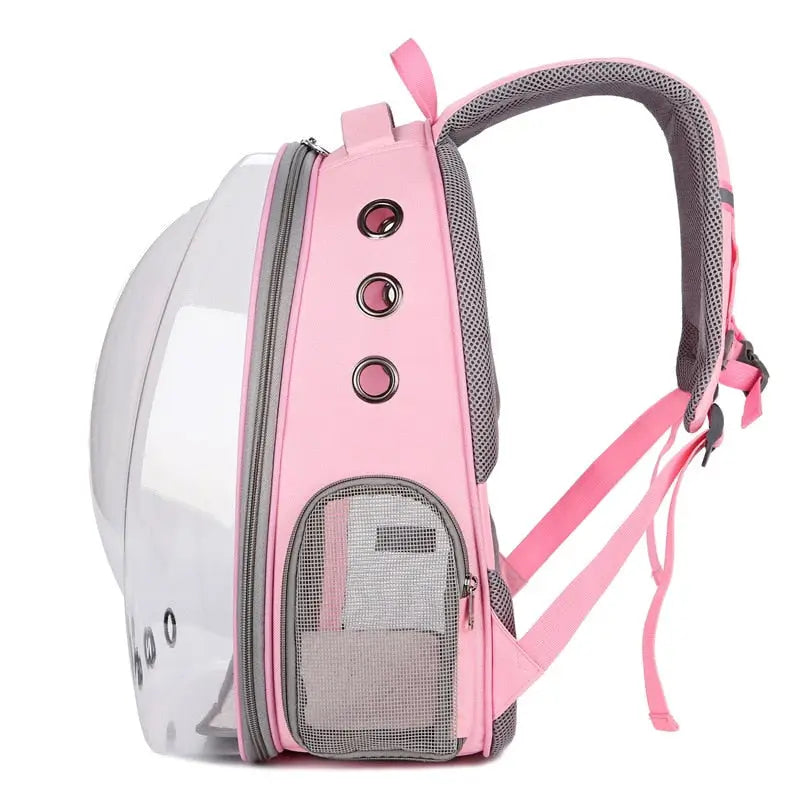 Sac à dos transparent pour chat et petit chien : Sac à dos unique pour animaux de compagnie avec design transparent