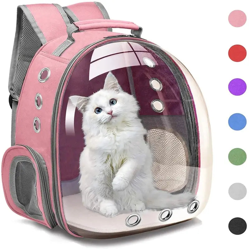 Sac à dos transparent pour chat : Design unique pour le voyage avec chat rose et chat blanc à l’intérieur