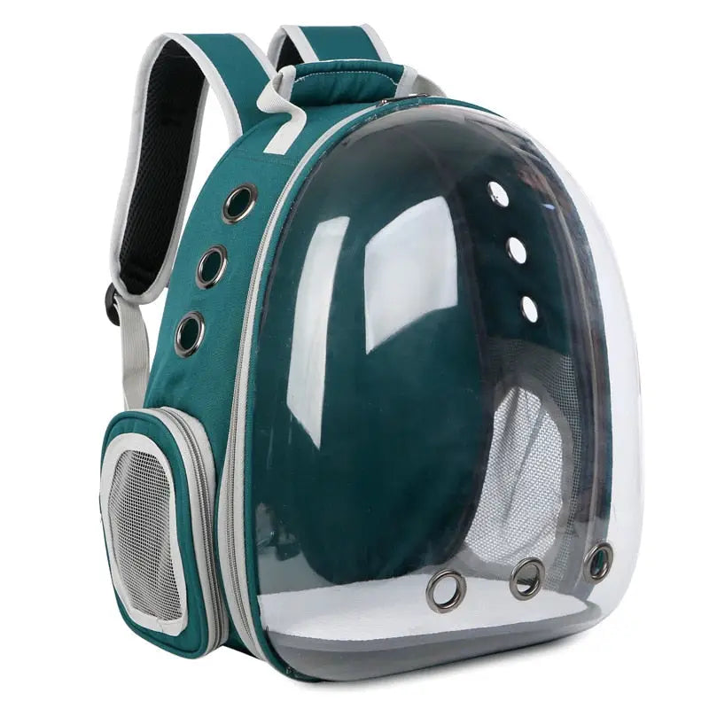 Sac à dos transparent pour chat : Sac à dos pour chat au design unique avec filet