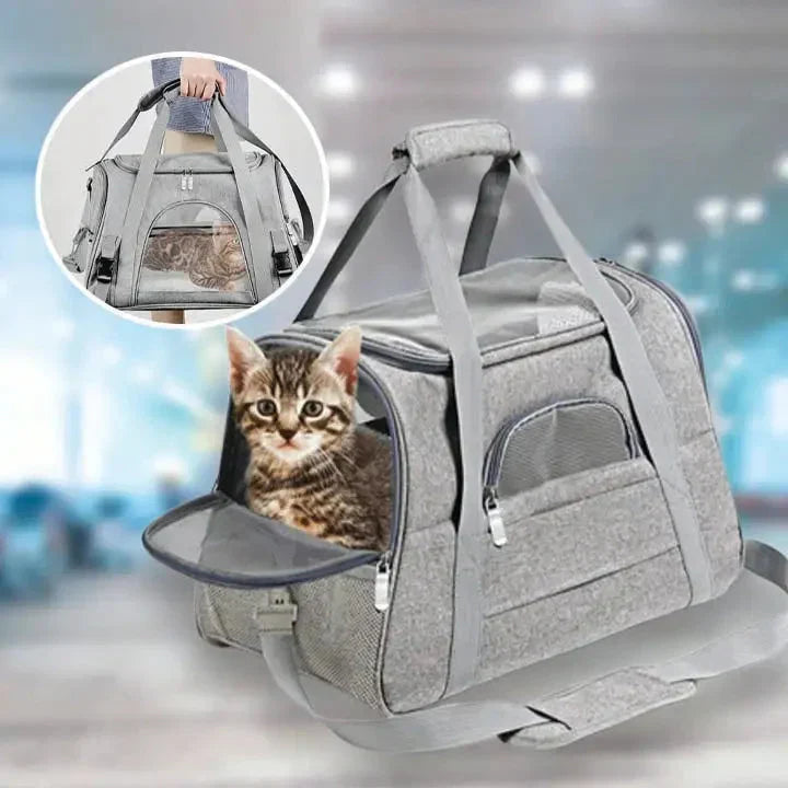 Sac de voyage pour chat sécurisé et apaisant : sac à dos tendance assurant la sécurité lors de vos aventures félines