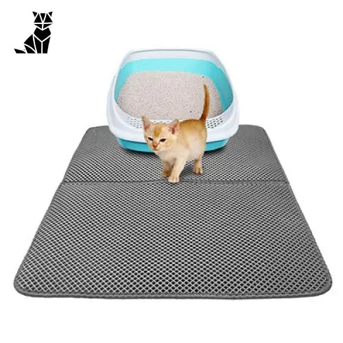 Chat marchant sur Anti-scatter litter mat, solution litière partout