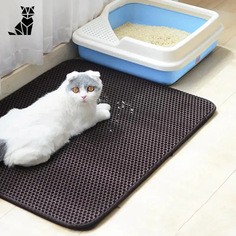 Un chat assis sur le sol avec Anti-scatter litter mat - la solution litière partout