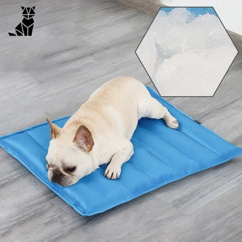 Tapis rafraîchissant non toxique en gel pour chien : Chien gel couché sur un tapis bleu rafraîchissant