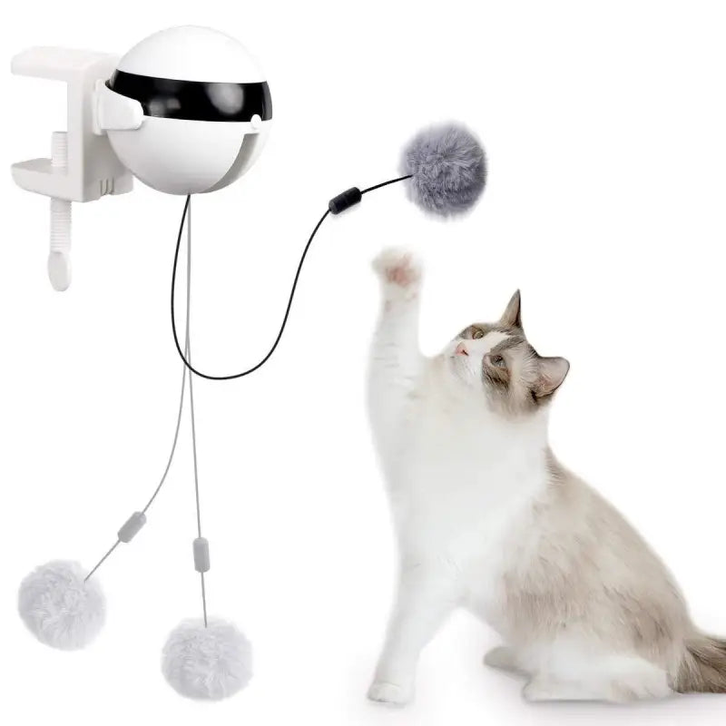 YoYo Automatique | Jouet Interactif Pour Chat